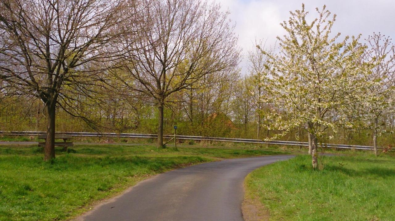 Hotel Waldecker Taverne Bad Arolsen Zewnętrze zdjęcie